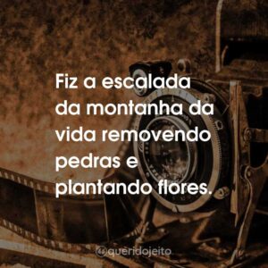 Fiz a escalada da montanha da vida removendo pedras e plantando flores.