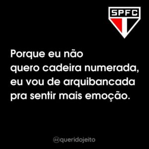 Porque eu não quero cadeira numerada, eu vou de arquibancada pra sentir mais emoção.