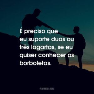É preciso que eu suporte duas ou três lagartas, se eu quiser conhecer as borboletas.
