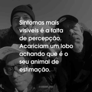 Sintomas mais visíveis é a falta de percepção. Acariciam um lobo achando que é o seu animal de estimação.