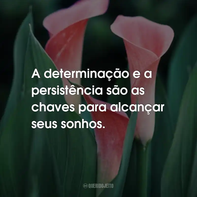 Frases Bonitas: A determinação e a persistência são as chaves para alcançar seus sonhos.
