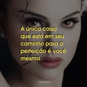 A única coisa que está em seu caminho para a perfeição é você mesma.