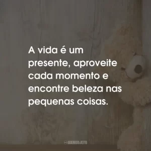 A vida é um presente, aproveite cada momento e encontre beleza nas pequenas coisas.