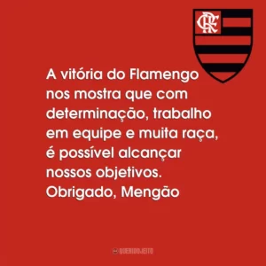 A vitória do Flamengo nos mostra que com determinação, trabalho em equipe e muita raça, é possível alcançar nossos objetivos. Obrigado, Mengão