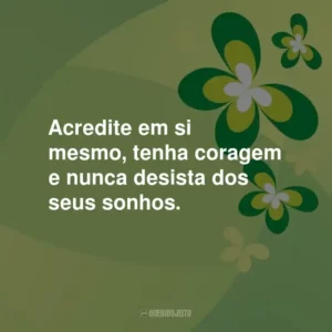 Acredite em si mesmo, tenha coragem e nunca desista dos seus sonhos.