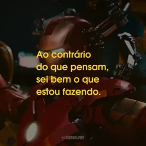 Ao contrário do que pensam, sei bem o que estou fazendo.
