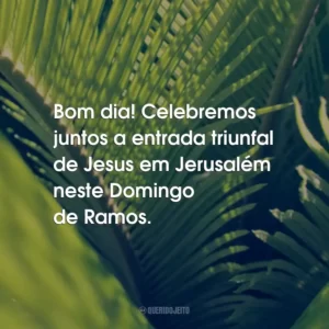 Bom dia! Celebremos juntos a entrada triunfal de Jesus em Jerusalém neste Domingo de Ramos.