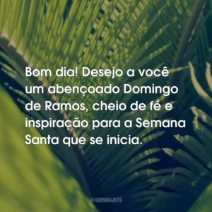 Bom dia! Desejo a você um abençoado Domingo de Ramos, cheio de fé e inspiração para a Semana Santa que se inicia.
