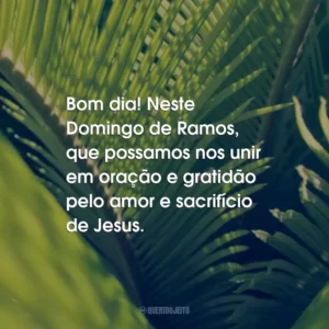 Bom dia! Neste Domingo de Ramos, que possamos nos unir em oração e gratidão pelo amor e sacrifício de Jesus.