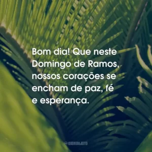 Bom dia! Que neste Domingo de Ramos, nossos corações se encham de paz, fé e esperança.