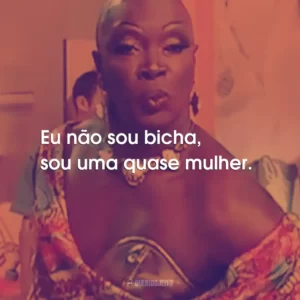Eu não sou bicha, sou uma quase mulher.
