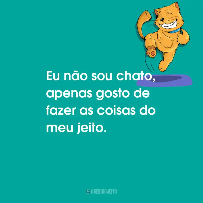 Frases Engraçadas: Eu não sou chato, apenas gosto de fazer as coisas do meu jeito.