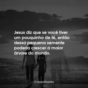 Jesus diz que se você tiver um pouquinho de fé, então dessa pequena semente poderia crescer a maior árvore do mundo.