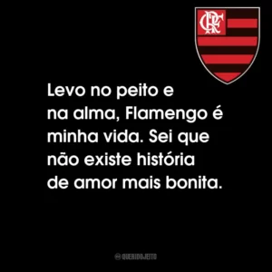Levo no peito e na alma, Flamengo é minha vida. Sei que não existe história de amor mais bonita.