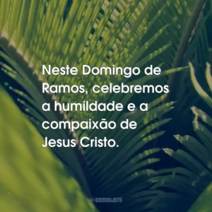 Neste Domingo de Ramos, celebremos a humildade e a compaixão de Jesus Cristo.