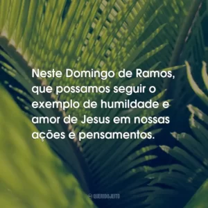 Neste Domingo de Ramos, que possamos seguir o exemplo de humildade e amor de Jesus em nossas ações e pensamentos.