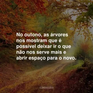 No outono, as árvores nos mostram que é possível deixar ir o que não nos serve mais e abrir espaço para o novo.