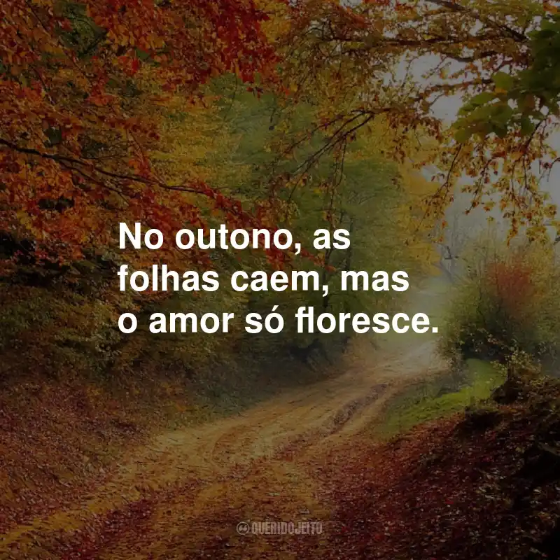 Frases Sobre o Outono: No outono, as folhas caem, mas o amor só floresce.