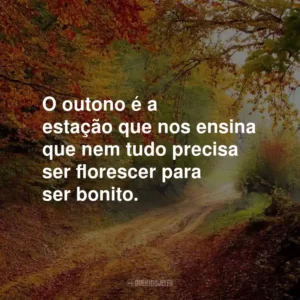 O outono é a estação que nos ensina que nem tudo precisa ser florescer para ser bonito.