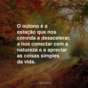 O outono é a estação que nos convida a desacelerar, a nos conectar com a natureza e a apreciar as coisas simples da vida.