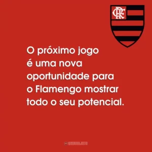 O próximo jogo é uma nova oportunidade para o Flamengo mostrar todo o seu potencial.