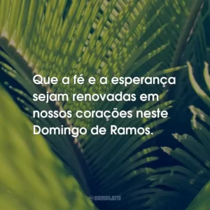 Que a fé e a esperança sejam renovadas em nossos corações neste Domingo de Ramos.