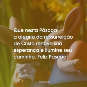 Que nesta Páscoa a alegria da ressurreição de Cristo renove sua esperança e ilumine seu caminho. Feliz Páscoa!