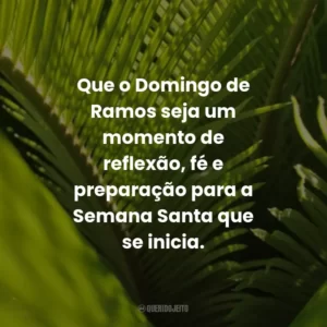 Que o Domingo de Ramos seja um momento de reflexão, fé e preparação para a Semana Santa que se inicia.
