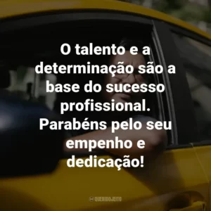O talento e a determinação são a base do sucesso profissional. Parabéns pelo seu empenho e dedicação!