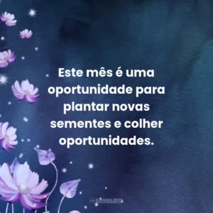 Este mês é uma oportunidade para plantar novas sementes e colher oportunidades.