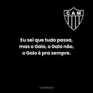 Eu sei que tudo passa, mas o Galo, o Galo não, o Galo é pra sempre.