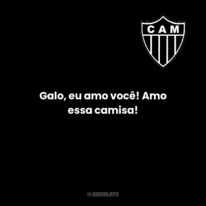 Galo, esse jogo temos que vencer! A torcida está em festa, te apoiarei até morrer.