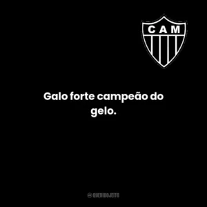 Galo, eu amo você! Amo essa camisa!