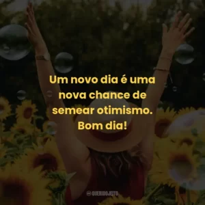 Um novo dia é uma nova chance de semear otimismo. Bom dia!
