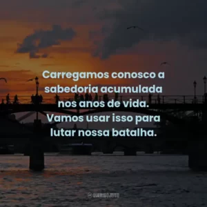 Carregamos conosco a sabedoria acumulada nos anos de vida. Vamos usar isso para lutar nossa batalha.
