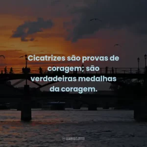 Cicatrizes são provas de coragem; são verdadeiras medalhas da coragem.