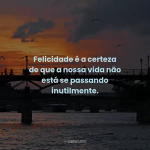 Felicidade é a certeza de que a nossa vida não está se passando inutilmente.