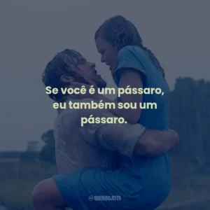 Se você é um pássaro, eu também sou um pássaro. – Noah