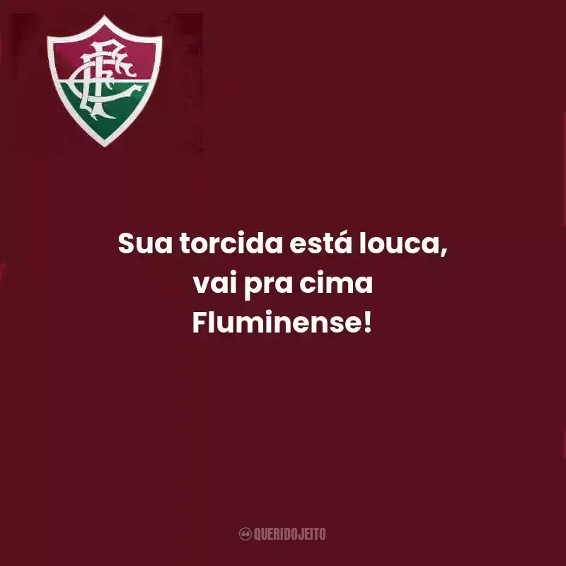 Frases do Fluminense:  Sua torcida está louca