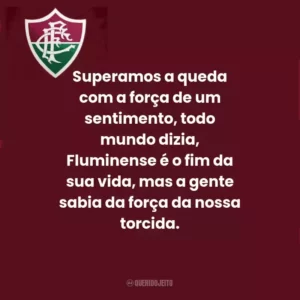 Superamos a queda com a força de um sentimento, todo mundo dizia, Fluminense é o fim da sua vida, mas a gente sabia da força da nossa torcida.