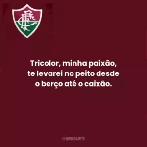 Tricolor, minha paixão, te levarei no peito desde o berço até o caixão.
