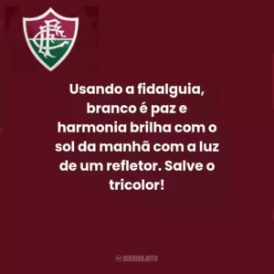 Usando a fidalguia, branco é paz e harmonia brilha com o sol da manhã com a luz de um refletor. Salve o tricolor!
