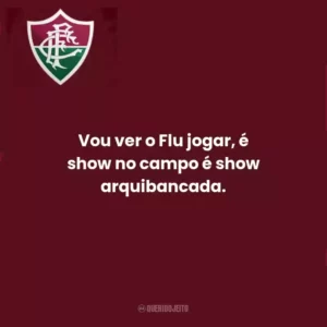 Vou ver o Flu jogar, é show no campo é show arquibancada.