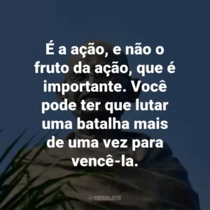 É a ação, e não o fruto da ação, que é importante. Você pode ter que lutar uma batalha mais de uma vez para vencê-la.