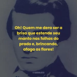 Oh! Quem me dera ser a brisa que estende seu manto nas folhas do prado e, brincando, afaga as flores!