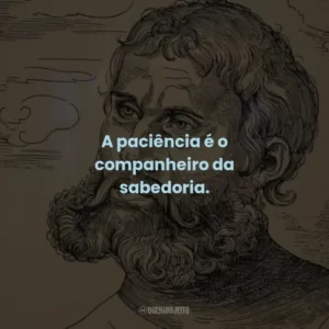 A paciência é o companheiro da sabedoria.