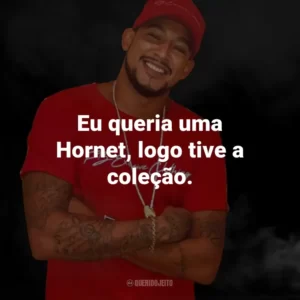 Eu queria uma Hornet, logo tive a coleção.