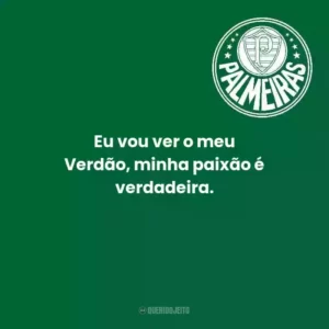 Eu vou ver o meu Verdão, minha paixão é verdadeira.