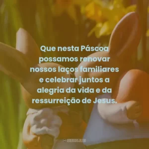 Que nesta Páscoa possamos renovar nossos laços familiares e celebrar juntos a alegria da vida e da ressurreição de Jesus.