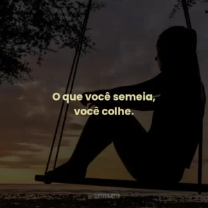 O que você semeia, você colhe.
